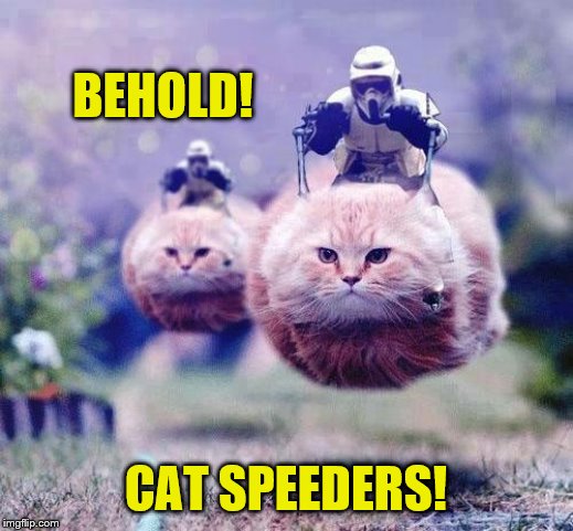 Storm Trooper Cats | BEHOLD! CAT SPEEDERS! | image tagged in storm trooper cats,memes,cats,animals | made w/ Imgflip meme maker