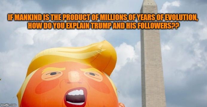 trump evolution | IF MANKIND IS THE PRODUCT OF MILLIONS OF YEARS OF EVOLUTION, 

HOW DO YOU EXPLAIN TRUMP AND HIS FOLLOWERS?? | image tagged in donald trump | made w/ Imgflip meme maker