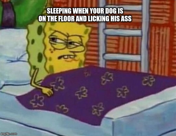 this happens to me ligit every night.  BUT NOT TONIGHT!!! | SLEEPING WHEN YOUR DOG IS ON THE FLOOR AND LICKING HIS ASS | image tagged in spongebob squarepants | made w/ Imgflip meme maker
