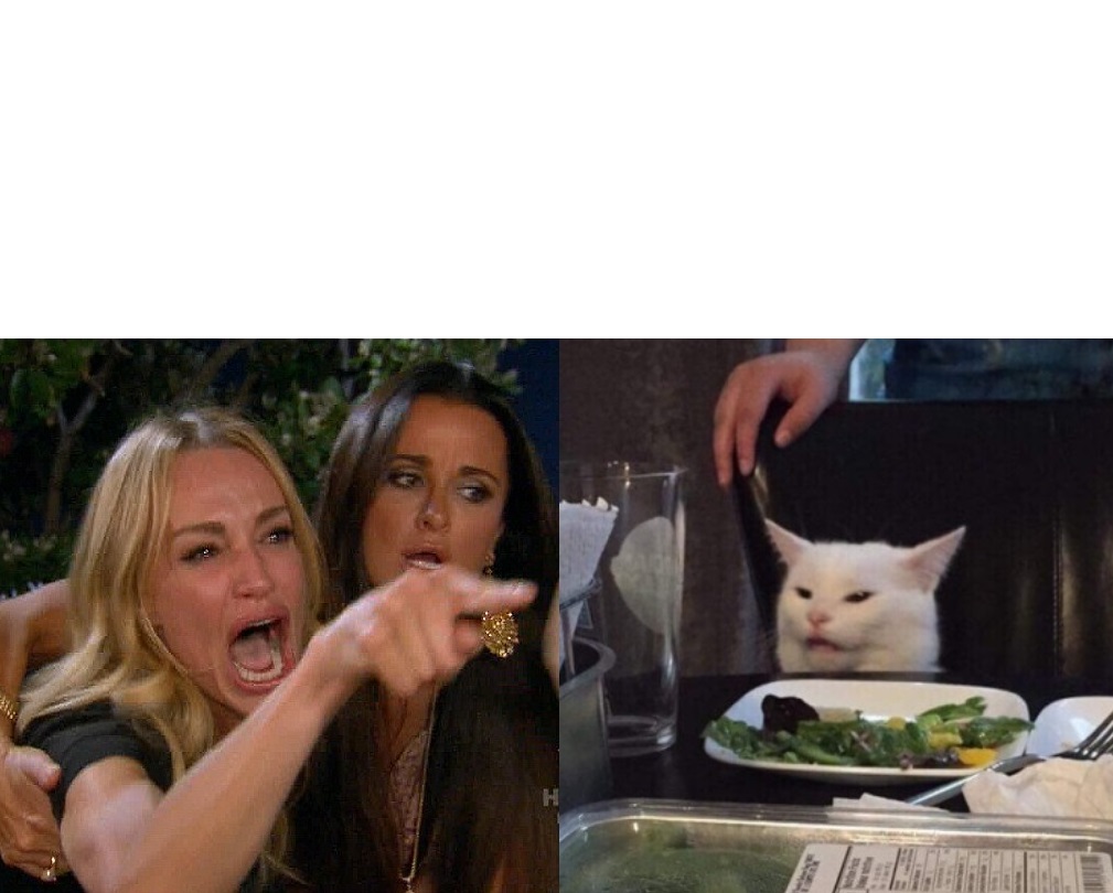 High Quality woman yelling at a cat Blank Meme Template