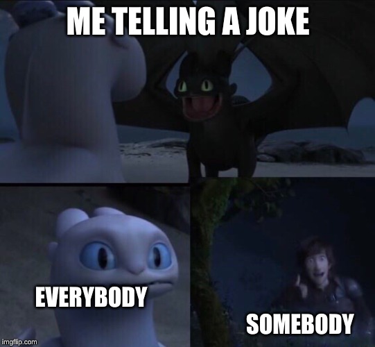 How to train your dragon 3 | ME TELLING A JOKE; EVERYBODY                                                                                                  SOMEBODY | image tagged in how to train your dragon 3 | made w/ Imgflip meme maker