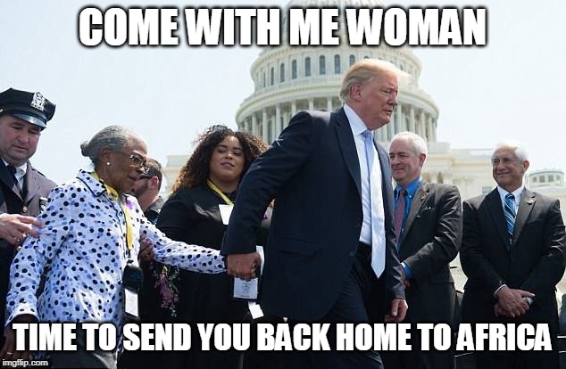 What Liberals see instead of what really took place | COME WITH ME WOMAN; TIME TO SEND YOU BACK HOME TO AFRICA | image tagged in memes,donald trump,blue lives matter | made w/ Imgflip meme maker