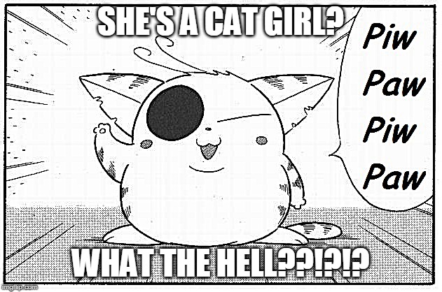 Piw Paw Piw Paw | SHE'S A CAT GIRL? WHAT THE HELL??!?!? | image tagged in piw paw piw paw | made w/ Imgflip meme maker