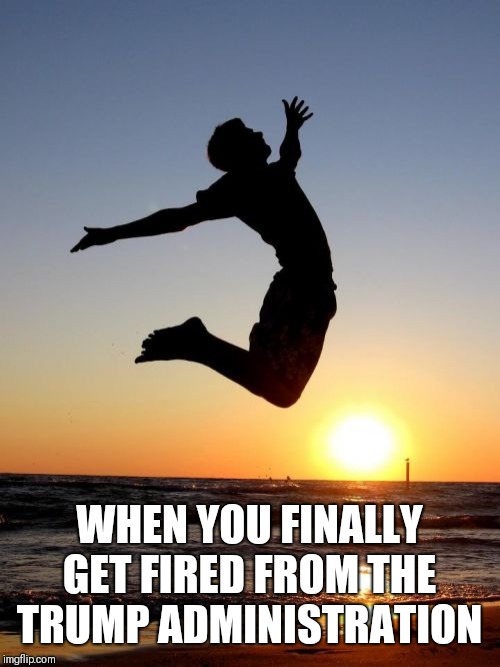Overjoyed | WHEN YOU FINALLY GET FIRED FROM THE TRUMP ADMINISTRATION | image tagged in memes,overjoyed | made w/ Imgflip meme maker
