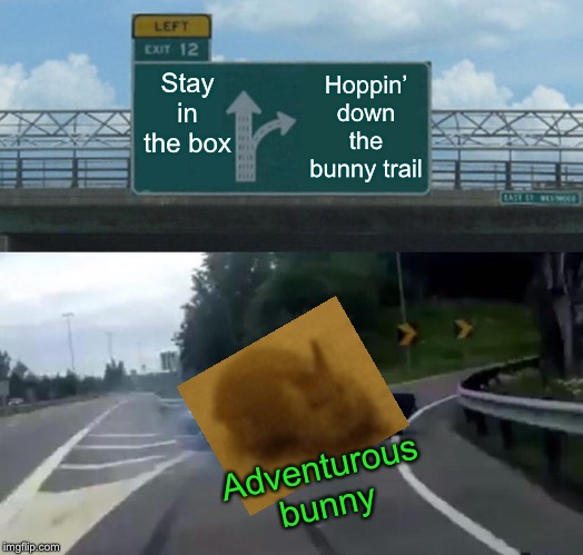 Left Exit 12 Off Ramp Meme | Stay in the box Hoppin’ down the bunny trail Adventurous bunny | image tagged in memes,left exit 12 off ramp | made w/ Imgflip meme maker