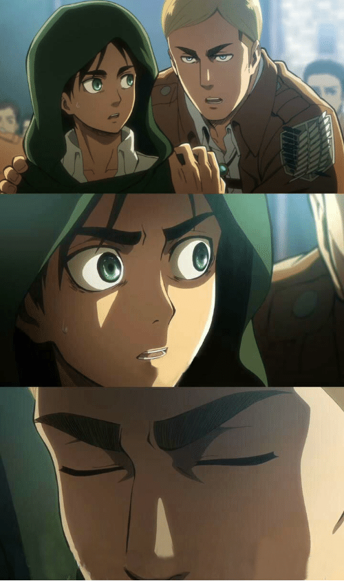 Erwin AOT Blank Meme Template