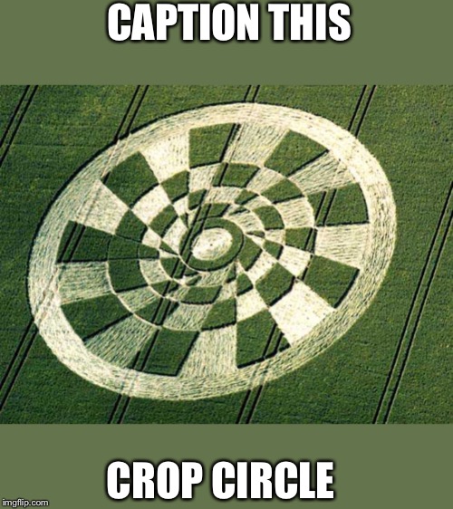 Crop circle | CAPTION THIS; CROP CIRCLE | image tagged in memes | made w/ Imgflip meme maker