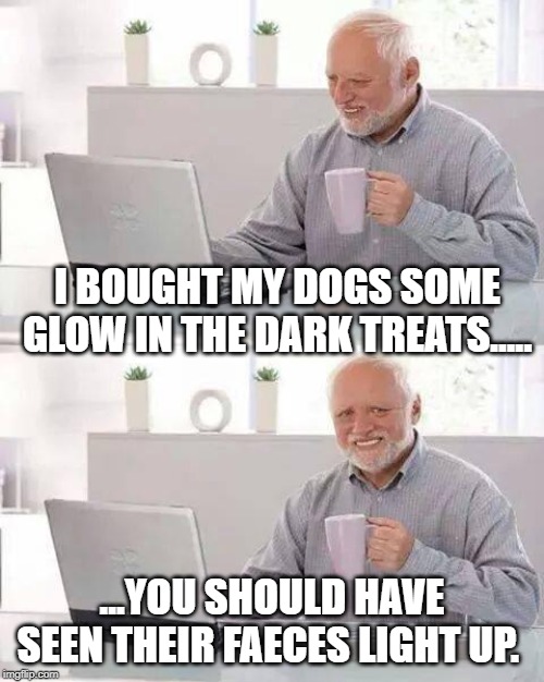 Hide the Pain Harold Meme | I BOUGHT MY DOGS SOME GLOW IN THE DARK TREATS..... ...YOU SHOULD HAVE SEEN THEIR FAECES LIGHT UP. | image tagged in memes,hide the pain harold | made w/ Imgflip meme maker