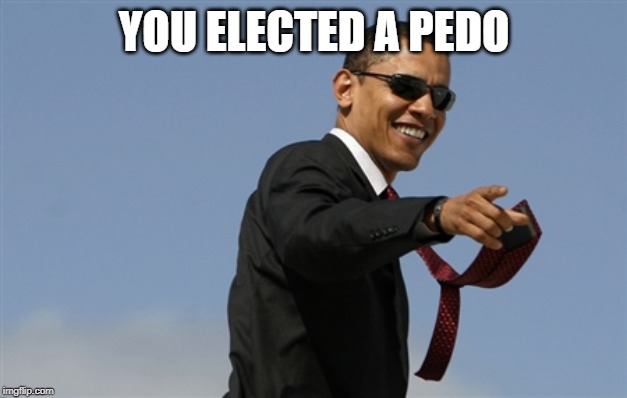 Cool Obama Meme | YOU ELECTED A PEDO | image tagged in memes,cool obama | made w/ Imgflip meme maker