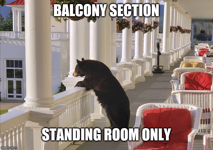 Balcony Bear | BALCONY SECTION; STANDING ROOM ONLY | image tagged in balcony bear | made w/ Imgflip meme maker