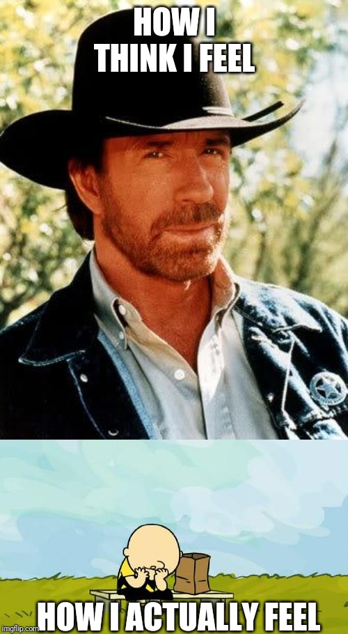 HOW I THINK I FEEL HOW I ACTUALLY FEEL | image tagged in memes,chuck norris,depressed charlie brown | made w/ Imgflip meme maker