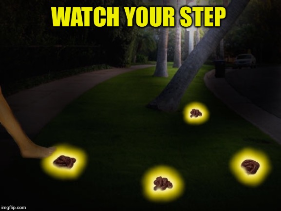 WATCH YOUR STEP | made w/ Imgflip meme maker