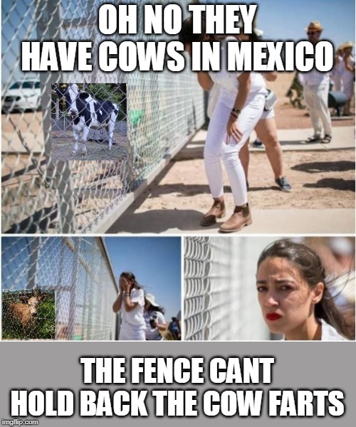 COW FARTS | OH NO THEY HAVE COWS IN MEXICO; THE FENCE CANT HOLD BACK THE COW FARTS | image tagged in aoc,aoc fence | made w/ Imgflip meme maker