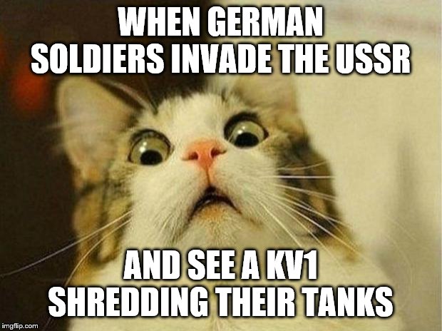 Scared Cat Meme | WHEN GERMAN SOLDIERS INVADE THE USSR; AND SEE A KV1 SHREDDING THEIR TANKS | image tagged in memes,scared cat | made w/ Imgflip meme maker