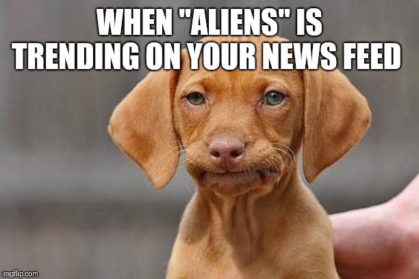 Dissapointed puppy | WHEN "ALIENS" IS TRENDING ON YOUR NEWS FEED | image tagged in dissapointed puppy | made w/ Imgflip meme maker