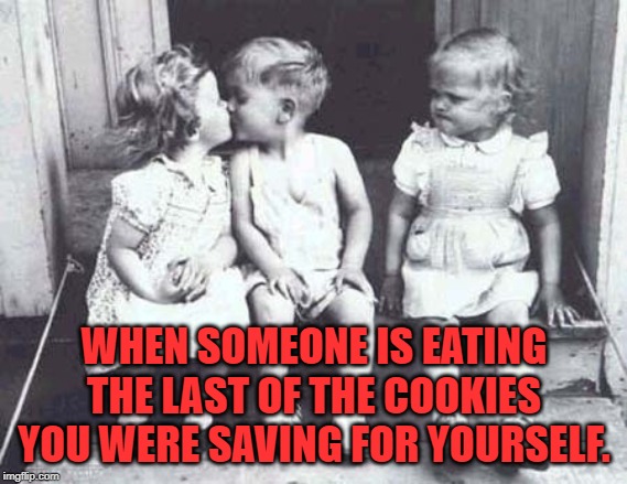 Especially when they already ate over half the pack on their own! You need a better hiding place! | WHEN SOMEONE IS EATING THE LAST OF THE COOKIES YOU WERE SAVING FOR YOURSELF. | image tagged in nixieknox,memes,hand in the cookie jar | made w/ Imgflip meme maker