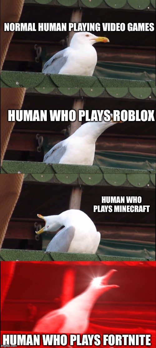 Inhaling Seagull Meme | NORMAL HUMAN PLAYING VIDEO GAMES; HUMAN WHO PLAYS ROBLOX; HUMAN WHO PLAYS MINECRAFT; HUMAN WHO PLAYS FORTNITE | image tagged in memes,inhaling seagull | made w/ Imgflip meme maker