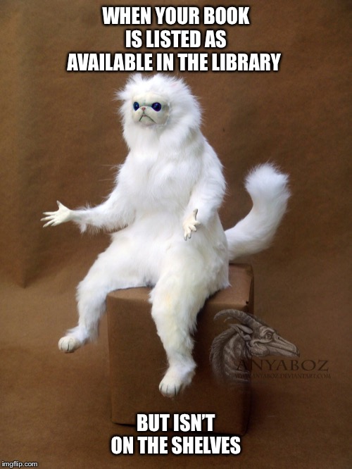 Persian Cat Room Guardian Single | WHEN YOUR BOOK IS LISTED AS AVAILABLE IN THE LIBRARY; BUT ISN’T ON THE SHELVES | image tagged in memes,persian cat room guardian single | made w/ Imgflip meme maker