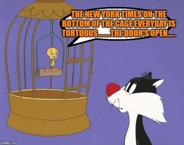 Tweety's decision | THE NEW YORK TIMES ON THE BOTTOM OF THE CAGE EVERYDAY IS TORTUOUS........THE DOOR'S OPEN..... | image tagged in fake news,the new york times | made w/ Imgflip meme maker