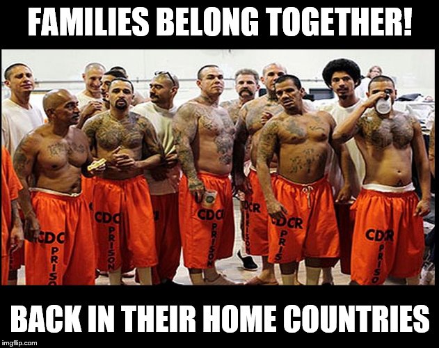 Illegal Aliens for Real | FAMILIES BELONG TOGETHER! BACK IN THEIR HOME COUNTRIES | image tagged in illegal aliens for real | made w/ Imgflip meme maker