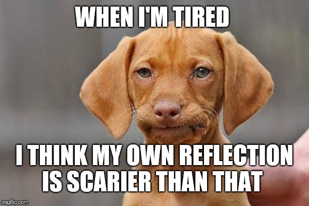 Dissapointed puppy | WHEN I'M TIRED I THINK MY OWN REFLECTION IS SCARIER THAN THAT | image tagged in dissapointed puppy | made w/ Imgflip meme maker