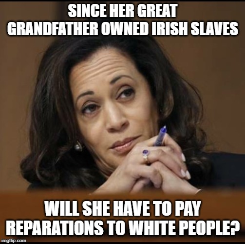 But muh equality | SINCE HER GREAT GRANDFATHER OWNED IRISH SLAVES; WILL SHE HAVE TO PAY REPARATIONS TO WHITE PEOPLE? | image tagged in kamala harris,liberal hypocrisy,the racism doesn't exist racist,human stupidity,donald trump,democratic party | made w/ Imgflip meme maker