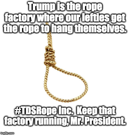 Trump Derangement Hangings | Trump is the rope factory where our lefties get the rope to hang themselves. #TDSRope Inc.  Keep that factory running, Mr. President. | image tagged in trump derangement syndrome,rope | made w/ Imgflip meme maker