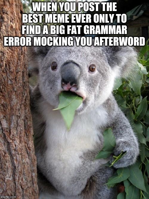 Surprised Koala |  WHEN YOU POST THE BEST MEME EVER ONLY TO FIND A BIG FAT GRAMMAR ERROR MOCKING YOU AFTERWORD | image tagged in memes,surprised koala | made w/ Imgflip meme maker