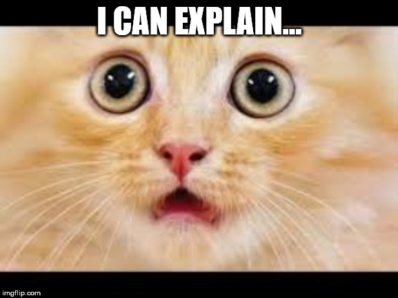 I can explain | I CAN EXPLAIN... | image tagged in cat,funny,kitten,cute | made w/ Imgflip meme maker