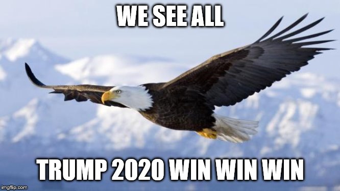 eagle | WE SEE ALL; TRUMP 2020 WIN WIN WIN | image tagged in eagle | made w/ Imgflip meme maker