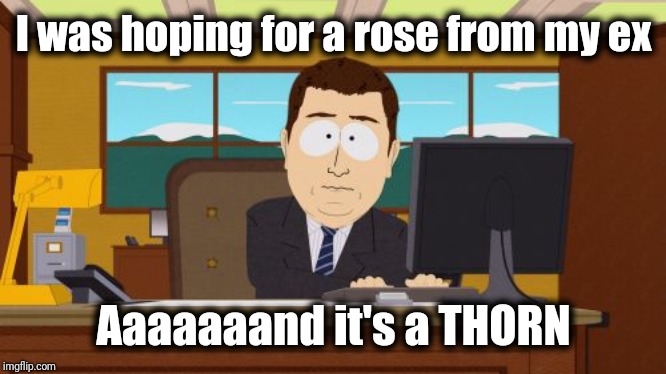 Aaaaand Its Gone | I was hoping for a rose from my ex; Aaaaaaand it's a THORN | image tagged in memes,aaaaand its gone | made w/ Imgflip meme maker