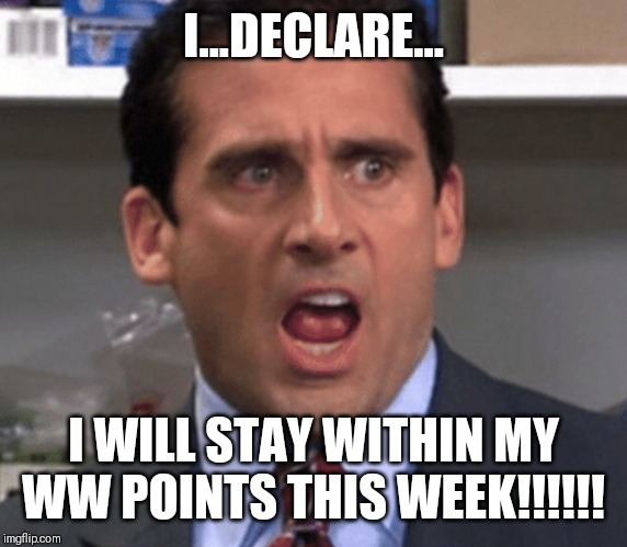 I...DECLARE... I WILL STAY WITHIN MY WW POINTS THIS WEEK!!!!!! | image tagged in weight loss,michael scott | made w/ Imgflip meme maker