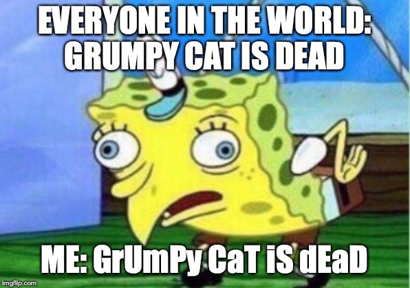 Mocking Spongebob | EVERYONE IN THE WORLD:
GRUMPY CAT IS DEAD; ME: GrUmPy CaT iS dEaD | image tagged in memes,mocking spongebob | made w/ Imgflip meme maker