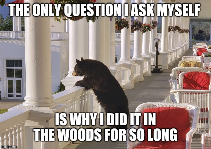 Balcony Bear | THE ONLY QUESTION I ASK MYSELF; IS WHY I DID IT IN THE WOODS FOR SO LONG | image tagged in balcony bear | made w/ Imgflip meme maker