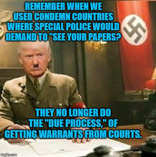 Trump nazi  | REMEMBER WHEN WE USED CONDEMN COUNTRIES WHERE SPECIAL POLICE WOULD DEMAND TO "SEE YOUR PAPERS? THEY NO LONGER DO THE "DUE PROCESS," OF GETTING WARRANTS FROM COURTS. | image tagged in trump nazi | made w/ Imgflip meme maker