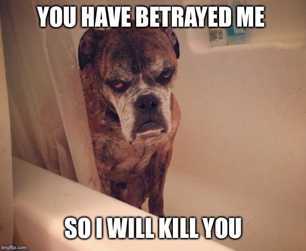 You have betrayed me | YOU HAVE BETRAYED ME; SO I WILL KILL YOU | image tagged in you have betrayed me | made w/ Imgflip meme maker