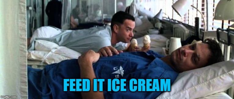 Ice Cream Lt Dan | FEED IT ICE CREAM | image tagged in ice cream lt dan | made w/ Imgflip meme maker