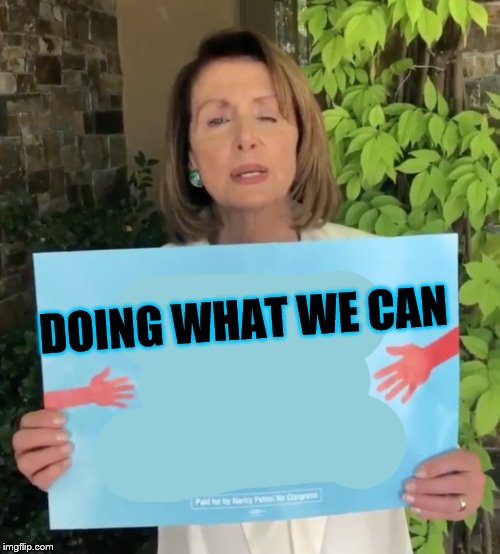 Pelosi sign  | DOING WHAT WE CAN | image tagged in pelosi sign | made w/ Imgflip meme maker