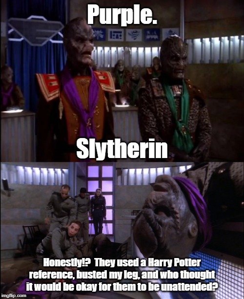 Slytherin Drazi | Purple. Slytherin; Honestly!?  They used a Harry Potter reference, busted my leg, and who thought it would be okay for them to be unattended? | image tagged in slytherin,babylon 5 | made w/ Imgflip meme maker