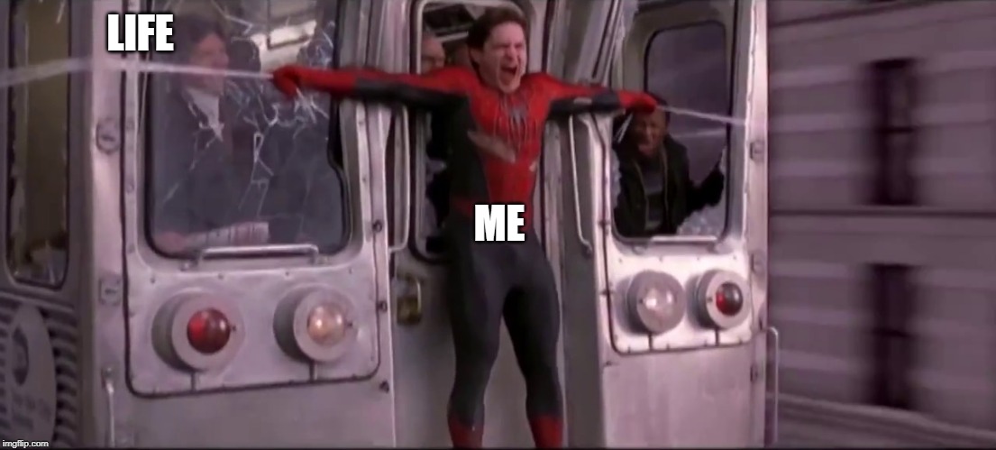 LIFE; ME | image tagged in spider-man | made w/ Imgflip meme maker