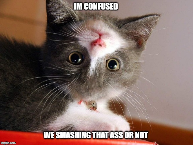 Upside-down cat face | IM CONFUSED; WE SMASHING THAT ASS OR NOT | image tagged in upside-down cat face | made w/ Imgflip meme maker