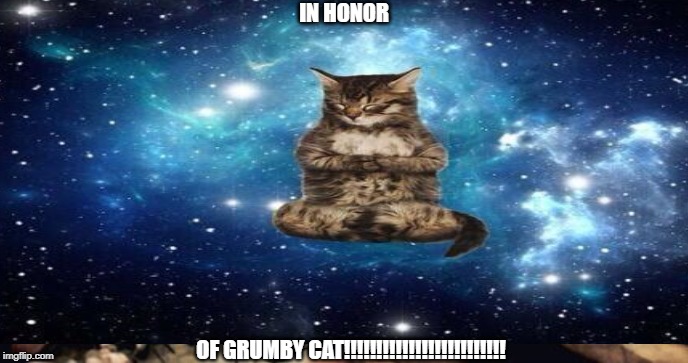 grumpy cat | IN HONOR; OF GRUMBY CAT!!!!!!!!!!!!!!!!!!!!!!!!! | image tagged in grumpy cat | made w/ Imgflip meme maker