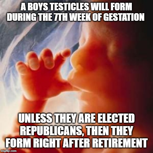 Explains Paul Ryan | A BOYS TESTICLES WILL FORM DURING THE 7TH WEEK OF GESTATION; UNLESS THEY ARE ELECTED REPUBLICANS, THEN THEY FORM RIGHT AFTER RETIREMENT | image tagged in fetus,republicans,trump,politics,funny | made w/ Imgflip meme maker