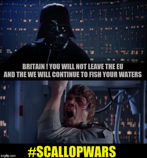 Star Wars No | BRITAIN ! YOU WILL NOT LEAVE THE EU AND THE WE WILL CONTINUE TO FISH YOUR WATERS; #SCALLOPWARS | image tagged in memes,star wars no,eu,uk,parliament,the great awakening | made w/ Imgflip meme maker