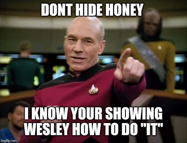 Picard | DONT HIDE HONEY I KNOW YOUR SHOWING WESLEY HOW TO DO "IT" | image tagged in picard | made w/ Imgflip meme maker