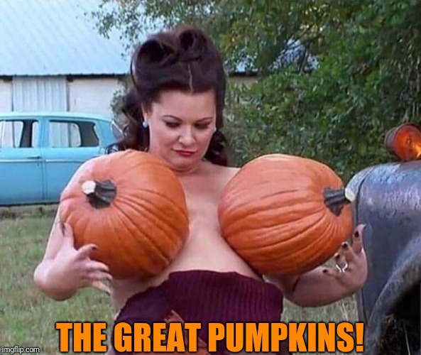 Peanuts was right | THE GREAT PUMPKINS! | image tagged in boobs,pumpkins | made w/ Imgflip meme maker