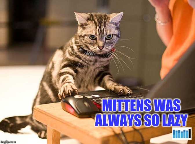 Working Cat | MITTENS WAS ALWAYS SO LAZY | image tagged in working cat | made w/ Imgflip meme maker