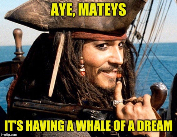 AYE, MATEYS IT'S HAVING A WHALE OF A DREAM | made w/ Imgflip meme maker