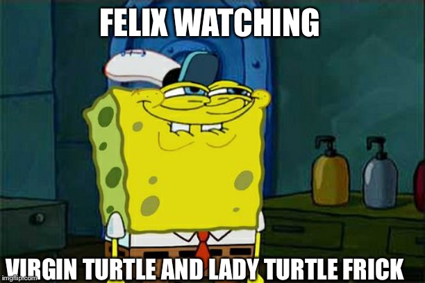 Don't You Squidward | FELIX WATCHING; VIRGIN TURTLE AND LADY TURTLE FRICK | image tagged in memes,dont you squidward | made w/ Imgflip meme maker