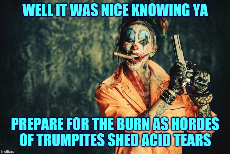 w | WELL IT WAS NICE KNOWING YA PREPARE FOR THE BURN AS HORDES   OF TRUMPITES SHED ACID TEARS | made w/ Imgflip meme maker